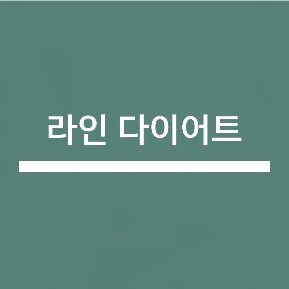 LINE 다이어트