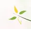 경희토정한의원