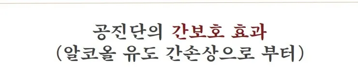공진단 간보호 효과.jpg