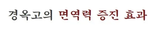 경옥고 면역력 증진효과.jpg