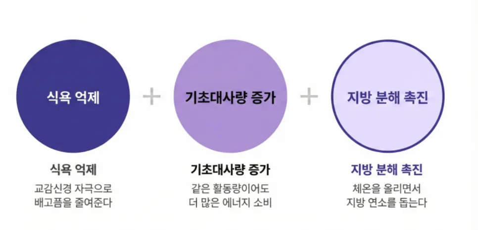 린다이어트 마황 안전하게 복용해도 괜찮을까요?