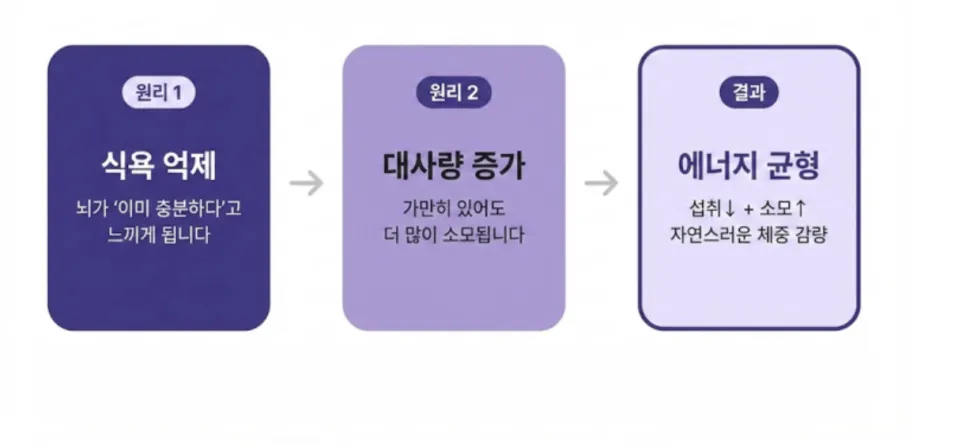 린다이어트 한약 원리, 왜 자연스럽게 살이 빠질까요?