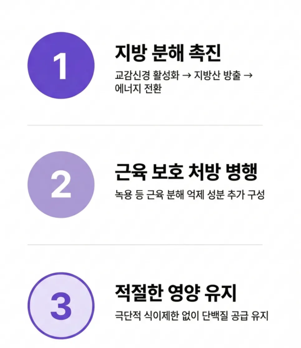 다이어트 한약, 체지방만 빠질까요? 근손실 없이 감량 가능한 이유