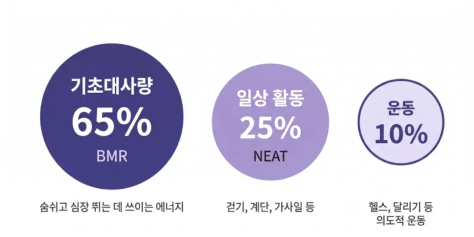 다이어트, 운동만으로 살 안 빠지는 이유