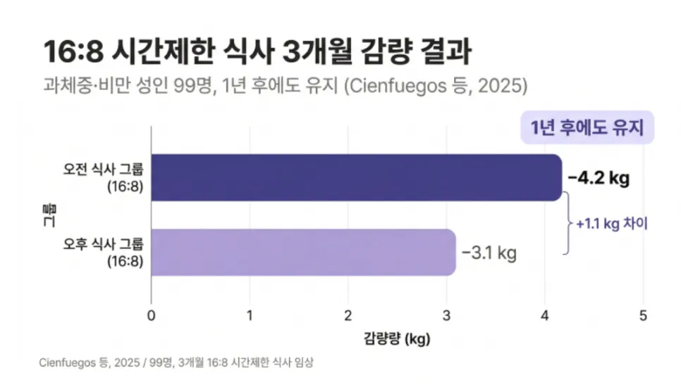 다이어트, 간헐적 단식 하는데 왜 살이 안 빠질까요