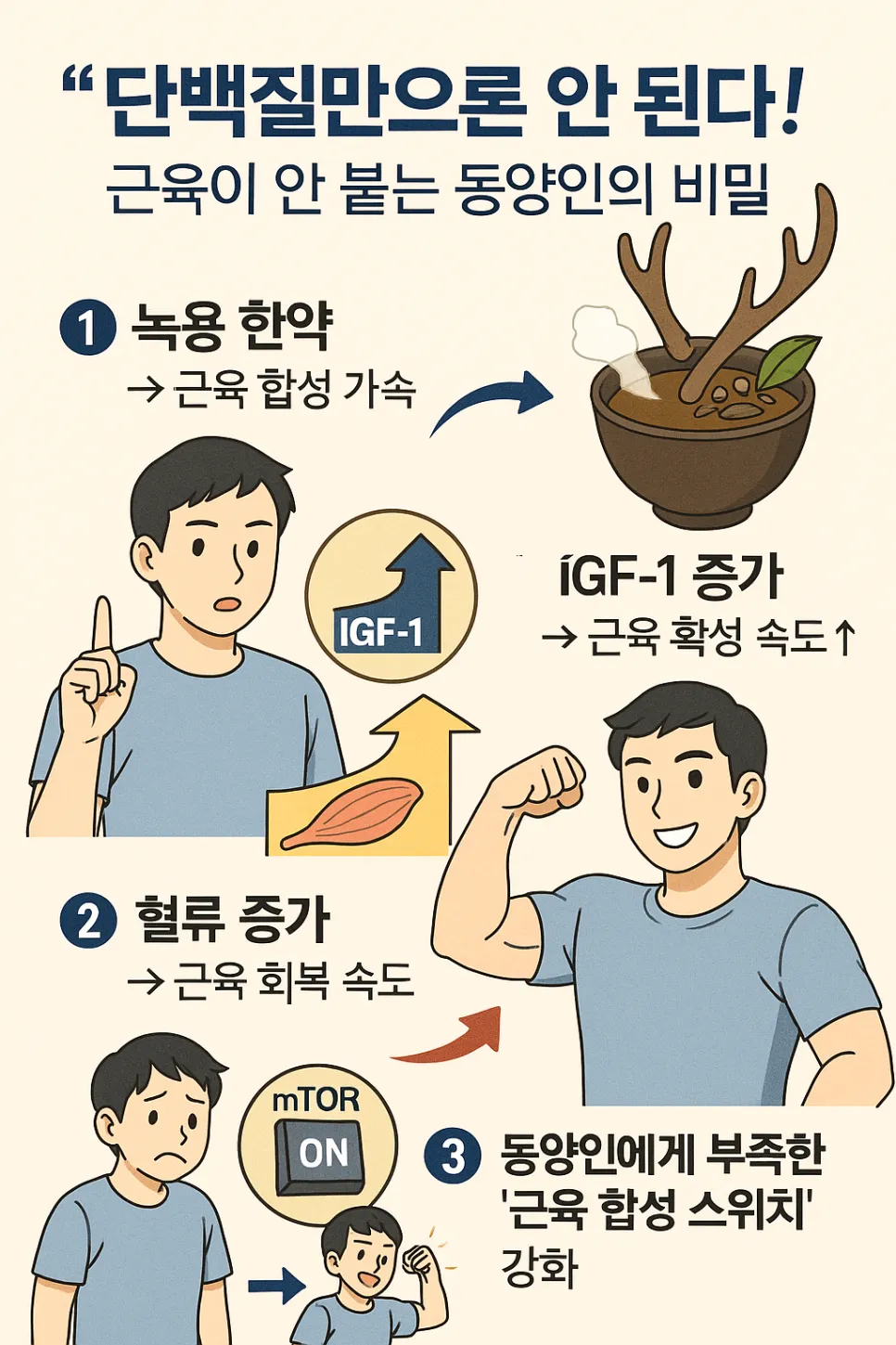 근육량 부족. 단백질만으론 안 된다!(광명한의원 추나요법)