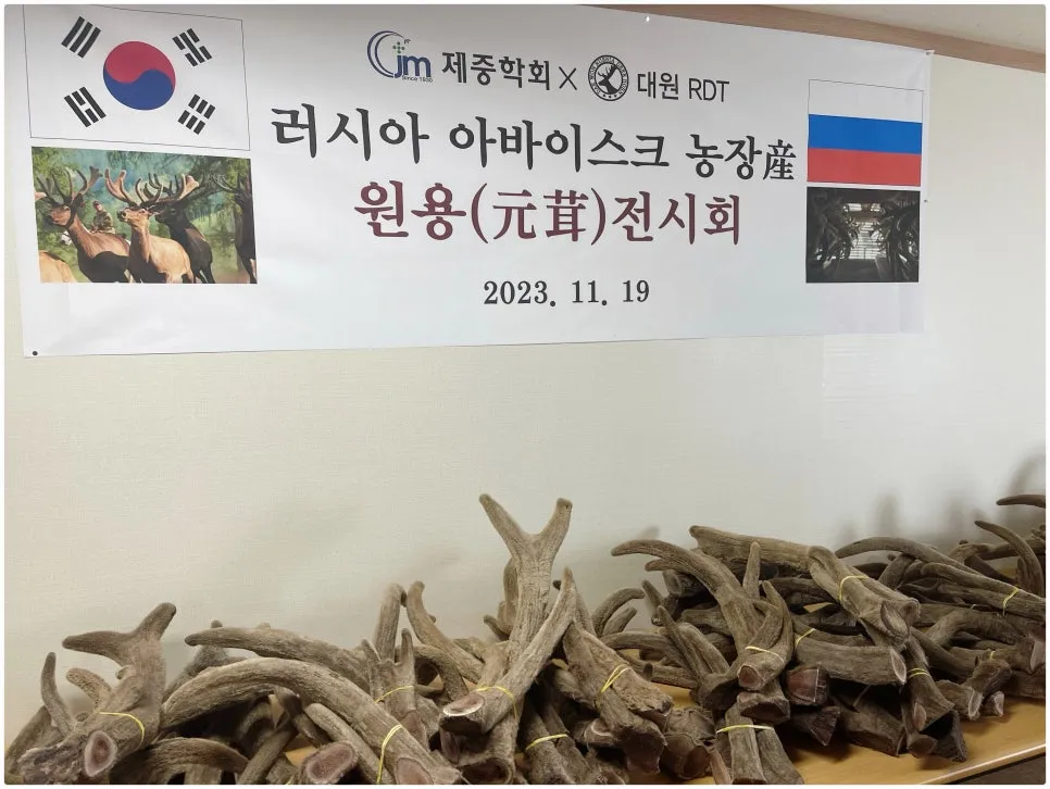 녹용 효과 효능, 경희온담한의원에서는 매년 최고급 러시아산 녹용을 직접 선별하여 사용합니다