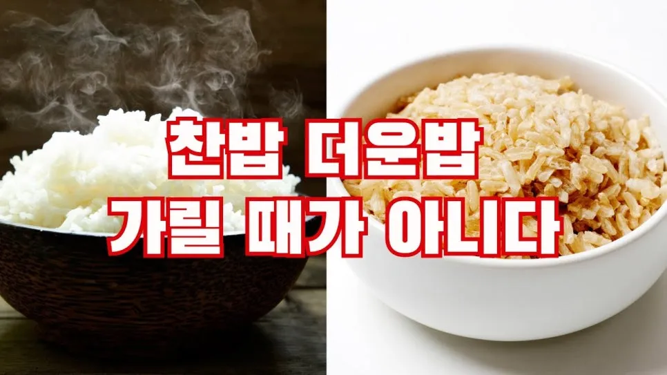 저항성 전분이 뭔가요? 찬밥 먹으면 혈당관리할 수 있는 이유