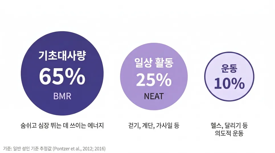 운동없이 다이어트? 운동이 다이어트에 기여하는 비중은 10%