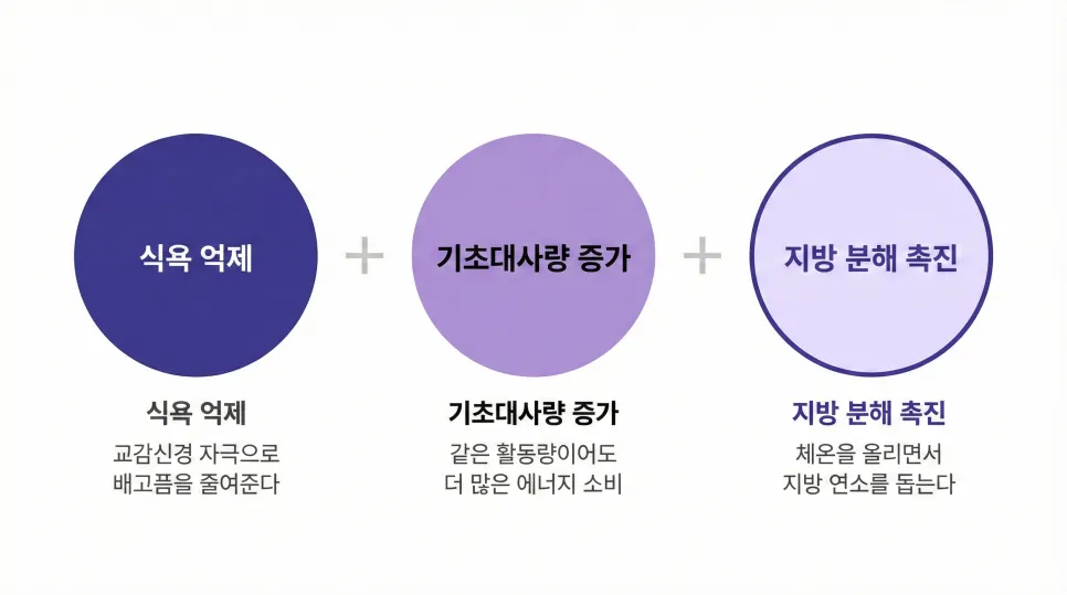 린다이어트 부작용, 괜찮을까요?