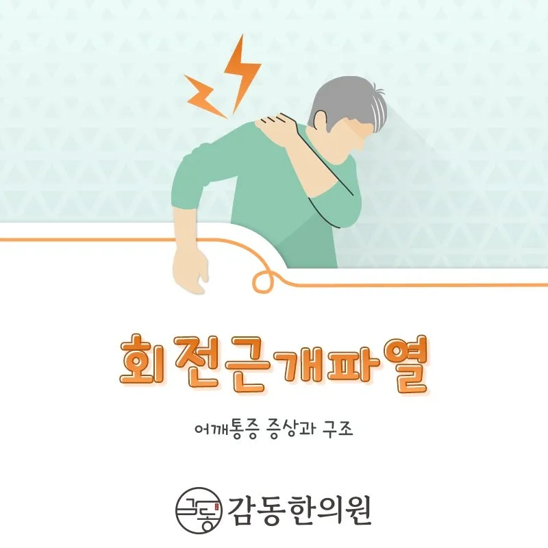 양주시 덕정 감동한의원 회전근개파열 어깨 사용마다 팔에 통증