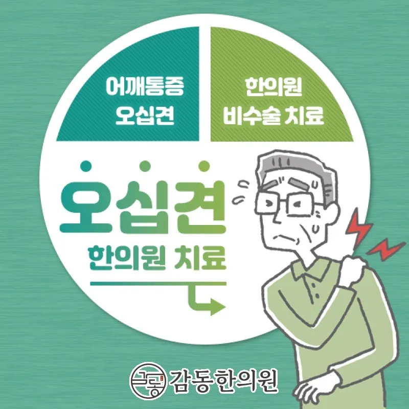 양주 옥정동 추나요법 오십견 야간통으로 수면장애 나타나요
