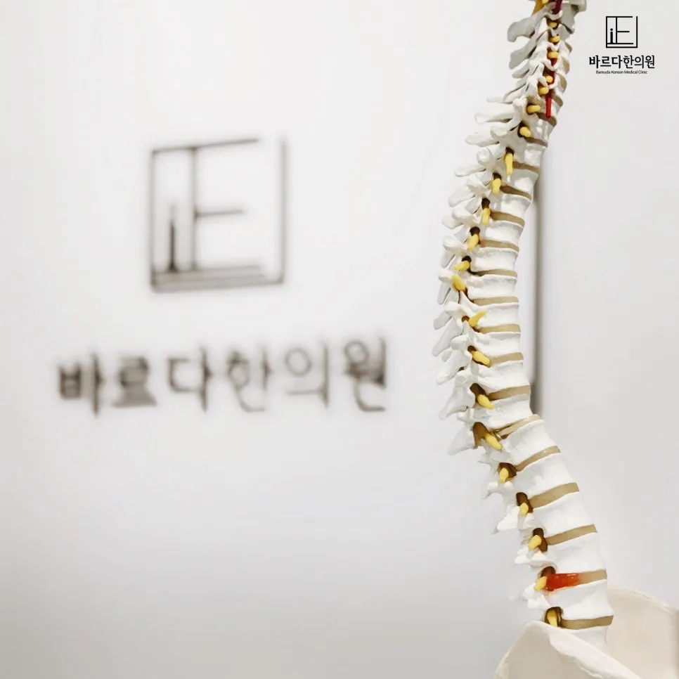 허리디스크 수술말고 한의원 치료 되나요?