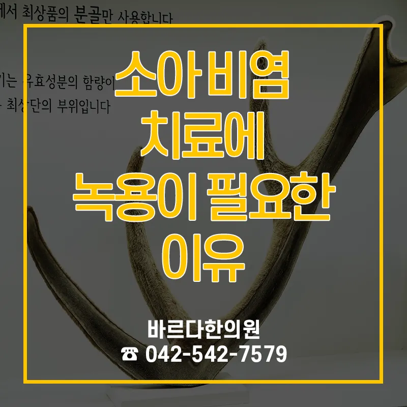 대전비염한의원 소아 비염 치료에 녹용이 필요한 이유