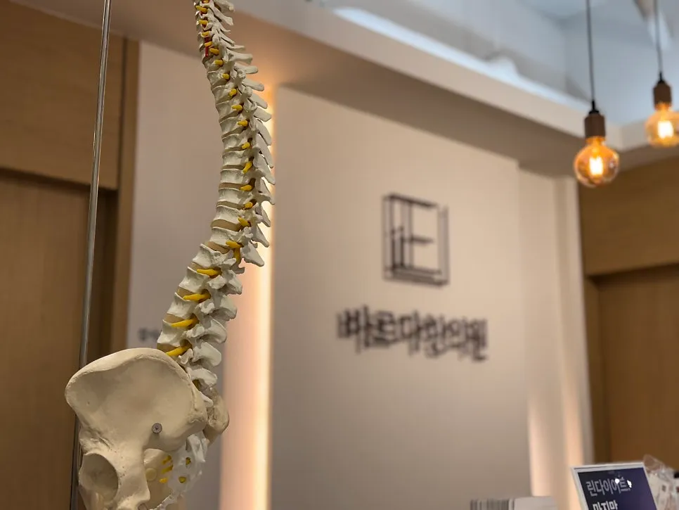 [ 도안동 허리디스크 치료 ] 허리 디스크 통증, 근육부터 잡아야 합니다!