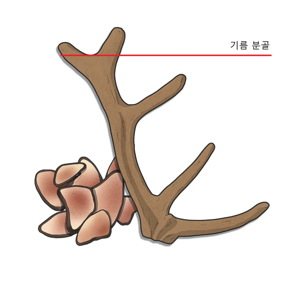 [탕전 이야기] 엑스포 문지한의원 녹용은 어떤 것을 사용하나요?