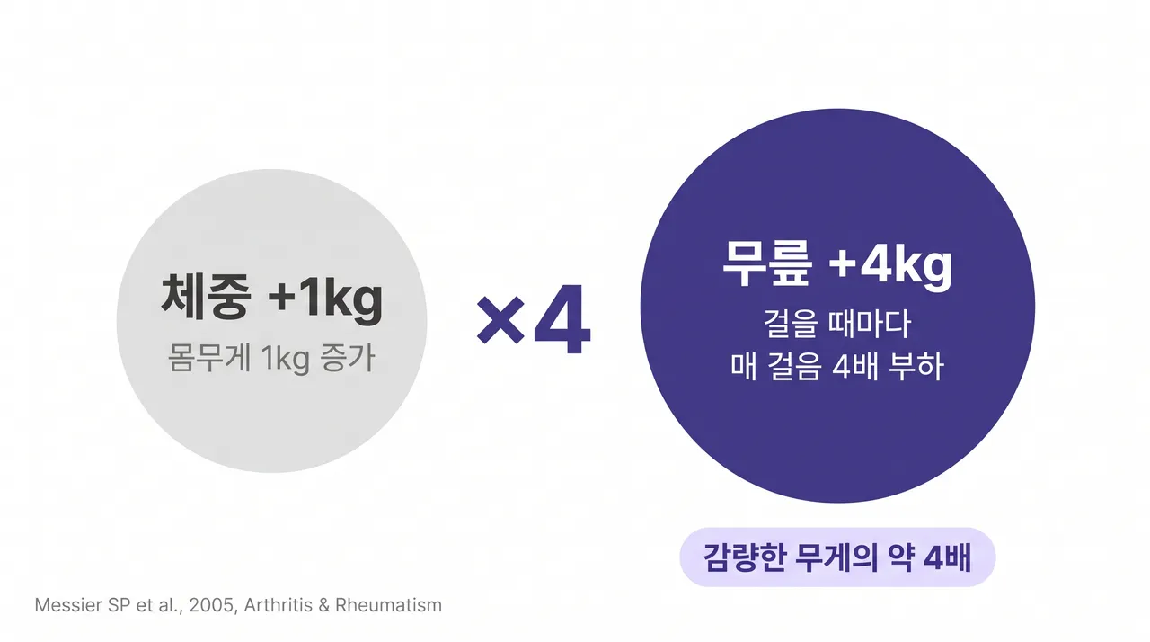 무릎, 허리가 계속 아프다면 체중부터 확인해보세요