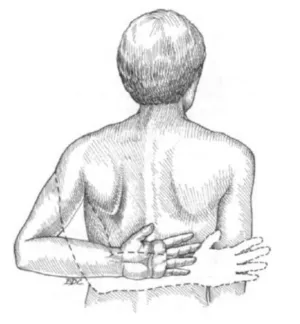 팔을 뒤로 들때 어깨 앞쪽에 통증이 생겨요! 어깨 앞 근육들에 대한 진단과 치료는? (군산 명작한의원)