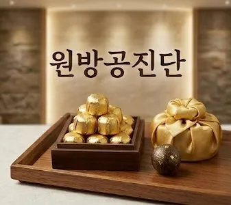 공진단이란? 놀라운 효능과 복용법 총정리