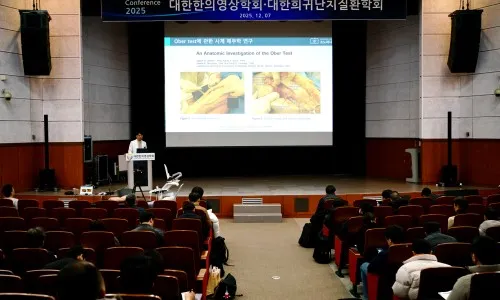 [나주 한의원/경추 디스크] 대한한의영상학회 학술대회에 강사로 다녀왔습니다.