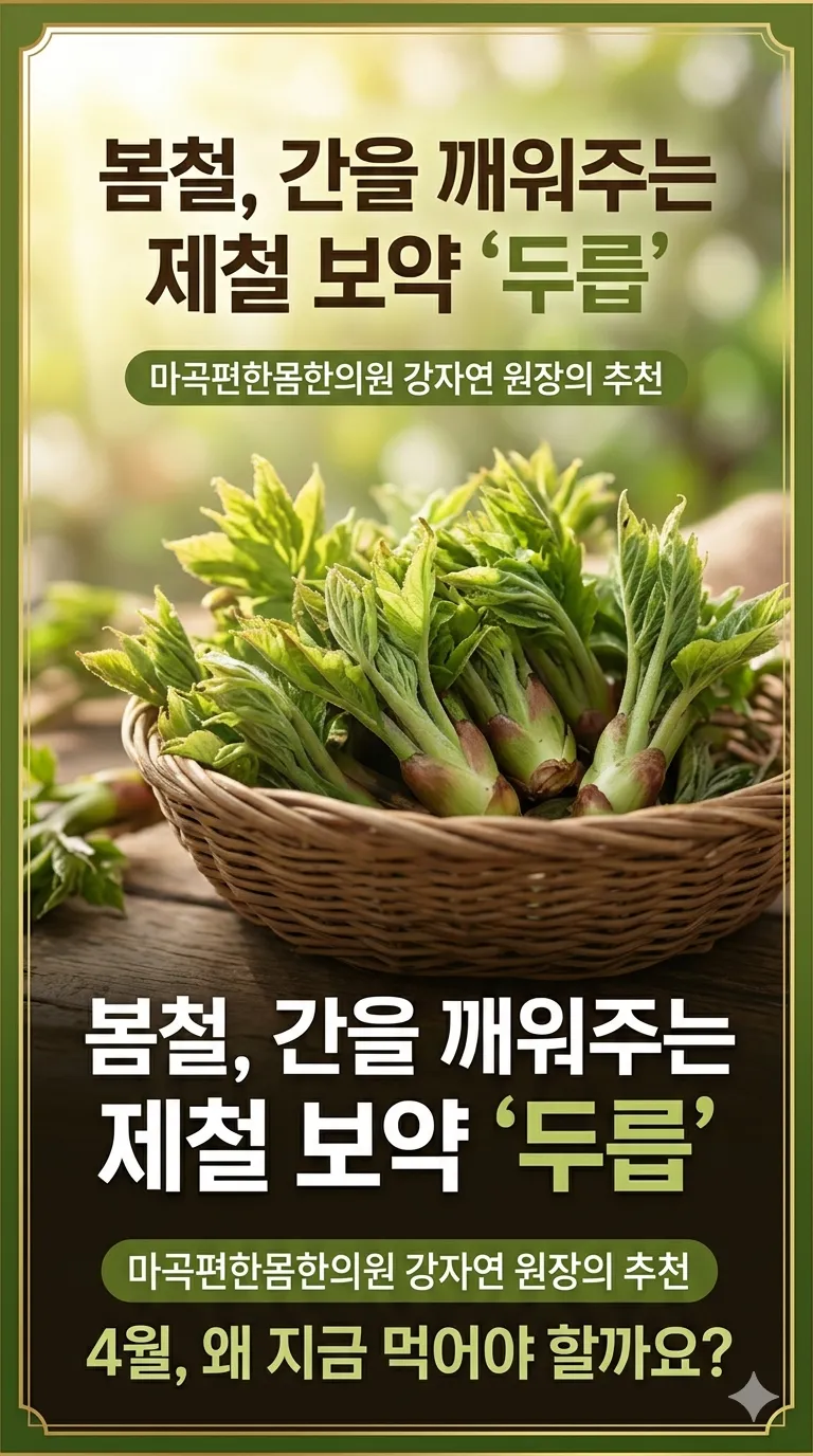 4월, 간 해독에 좋은 제철 식재료 "두릅" 이야기. 두릅의 영양성분, 한의학적 효능. 간 해독과 피로회복에 도움 되는 이야기