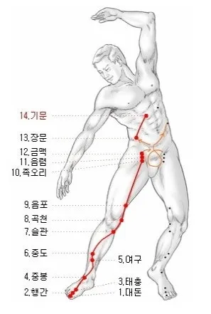 피부과 질환의 한방 치료법 2탄 환부위치를 보자!