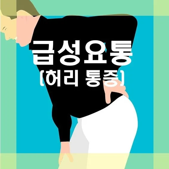 급성 요통 증상(숙이다가 갑자기 허리 통증 생겼어요)