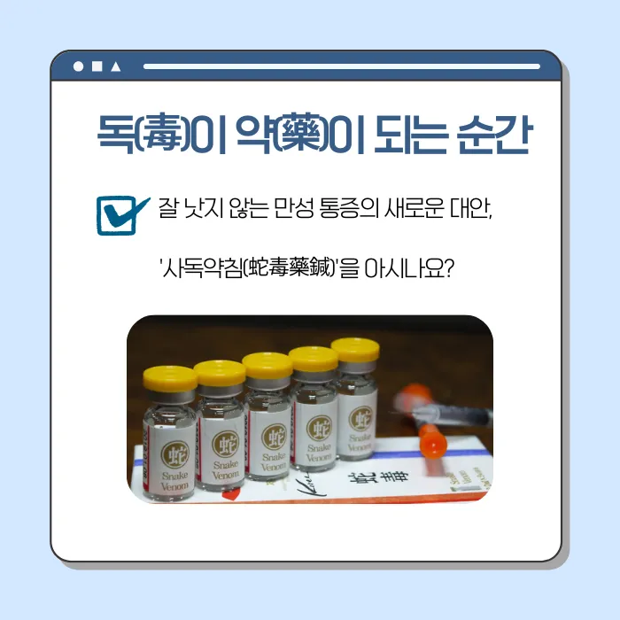 독으로 통증을 다스리다. 사독약침(蛇毒藥鍼)의 진통 효과와 임상적 의미