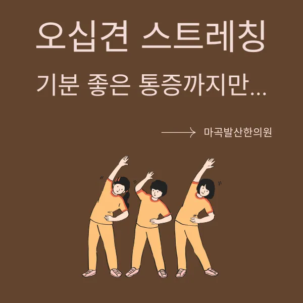 [팩트체크] 오십견, 정말 팔을 '찢으면서' 돌려야 나을까?