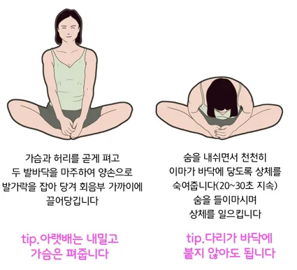[골반, 고관절] 기초 스트레칭과 운동