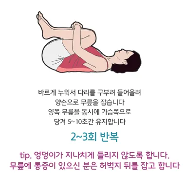 [허리] 기초 스트레칭과 운동