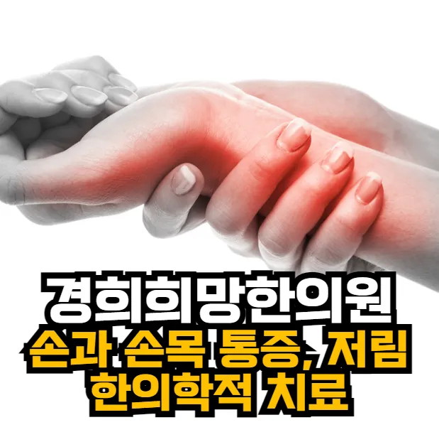 [안양동 한의원]손과 손목 통증, 저림의 한의학치료