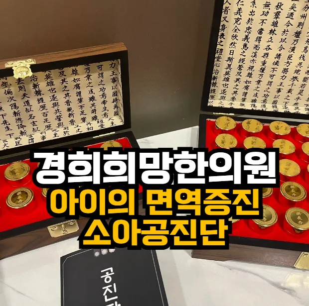 [안양한의원] 아이의 면역증진, 소아공진단