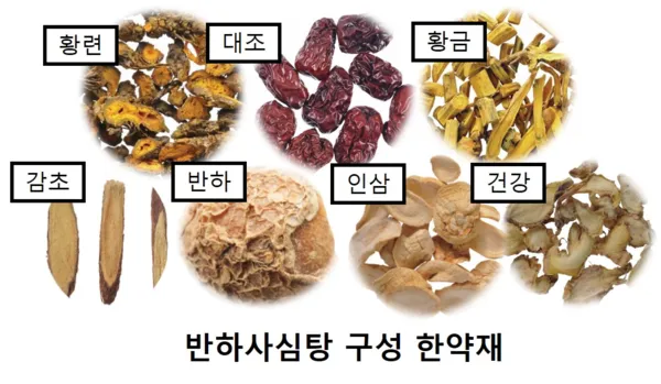 반하사심탕 - 소화불량 / 역류성 식도염 / 스트레스성 위염에 효과적인 한방 위장약! (군산 명작한의원)