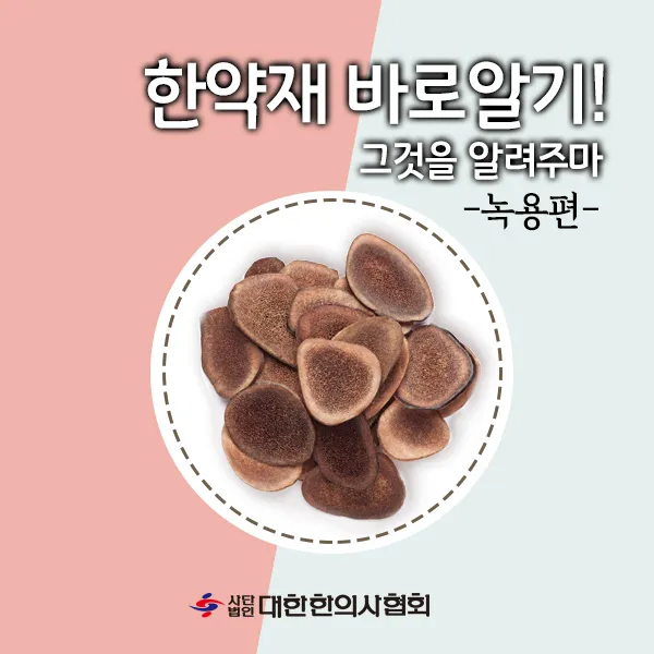한약재 바로알기! -녹용편-