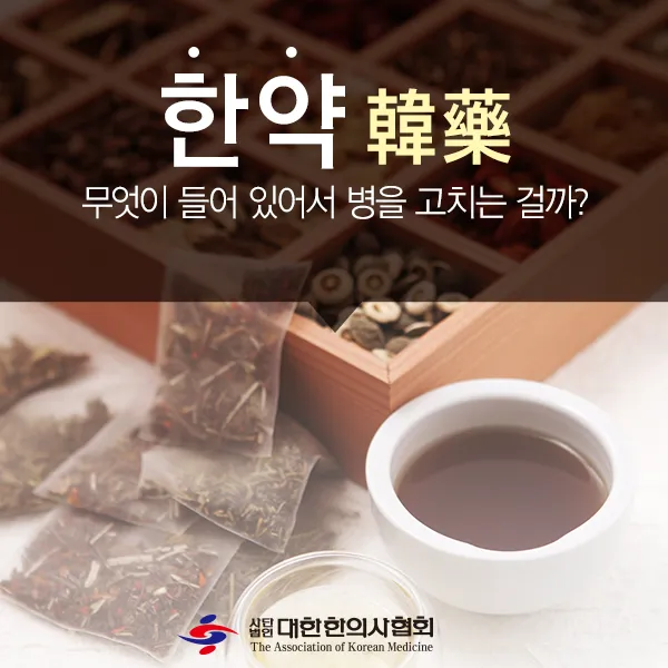 한약의 치료 효과는 어떻게 연구되고 있나?