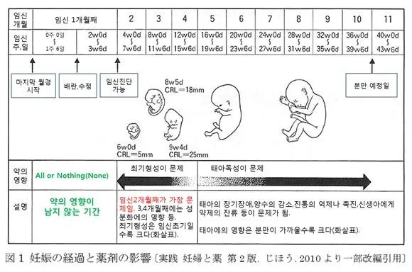 Q/A 임신 계획이 있는데 다이어트 한약 복용해도 될까요?(한약 복용 중 임신이 되었습니다. 태아에게 이상이 없을까요?)