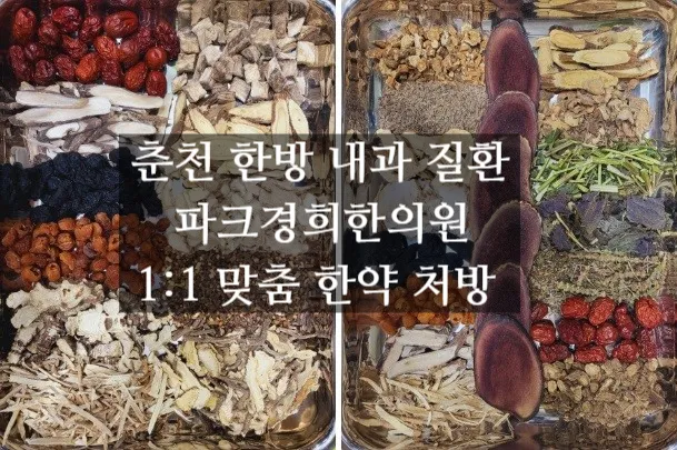 춘천보약으로 식욕부진, 성장부진, 수술, 항암 치료 후유증 회복을 돕는 한약처방 한의원 (2).jpg