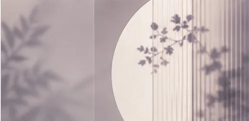 04_토닝_레이저.png