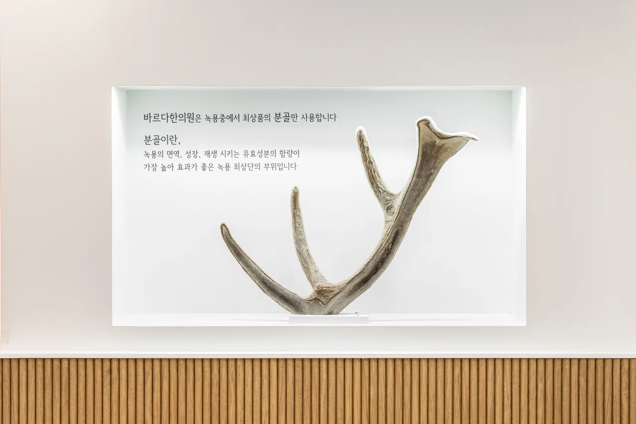 바르다한의원은 녹용 중 
최상품인 '분골' 만 사용합니다.