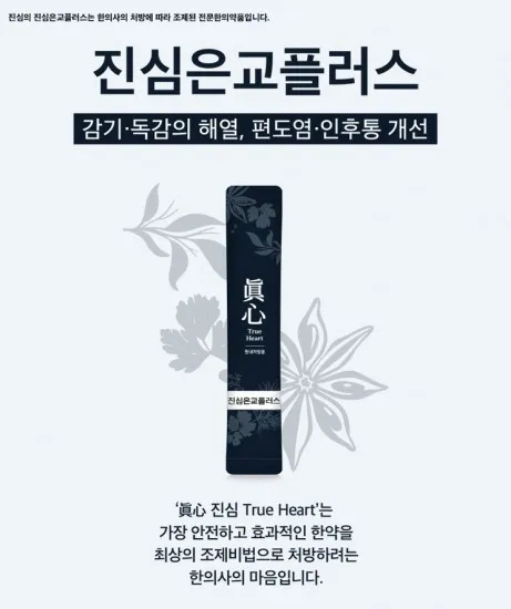 진심 은교플러스 