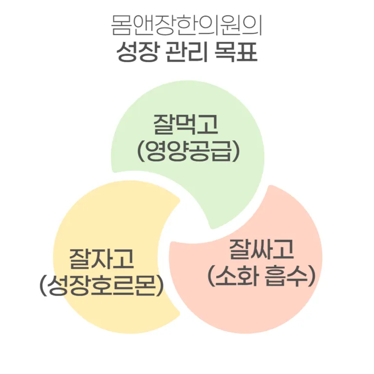 Pasted image