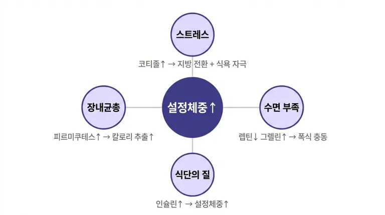 Pasted image